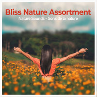 Nature Sounds - Sons de la nature - Bliss Nature Assortment
