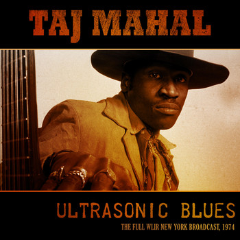 Taj Mahal - Ultrasonic Blues (Live 1974)
