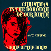 Virgin of the Birds - Christmas in the Borough of Our Birth