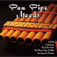 Pan Pipes - Pan Pipe Moods