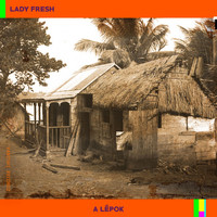 Lady Fresh - A lépok