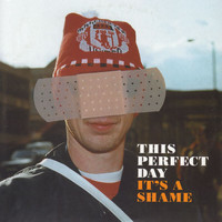 This Perfect Day - It's A Shame