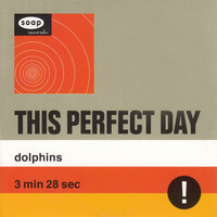 This Perfect Day - Dolphins
