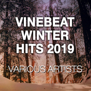 Various Artists / - VineBeat Winter Hits 2019