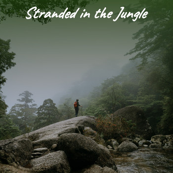 Various Artists - Stranded in the Jungle