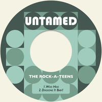 The Rock-A-Teens - Woo Hoo / Doggone It Baby!