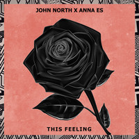 John North - This Feeling
