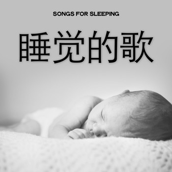 Various Artists - 睡觉的歌
