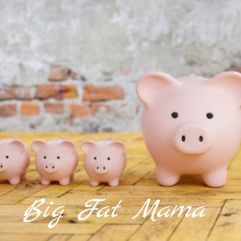 Various Artists - Big Fat Mama
