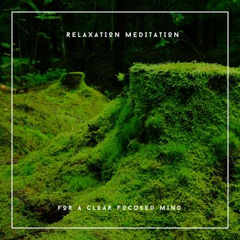 Relaxing Chill Out Music - Relaxation Meditation For A Clear Focused Mind
