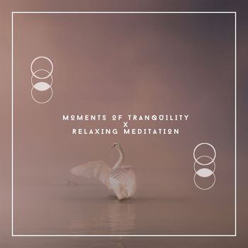 Relaxing Chill Out Music - Moments Of Tranquility x Relaxing Meditation