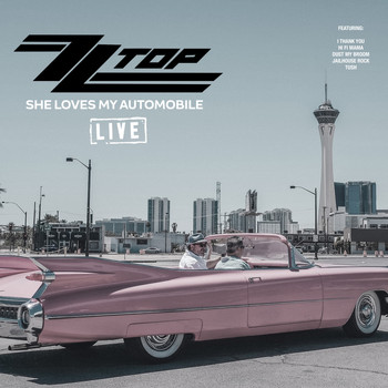 ZZ Top - She Loves My Automobile (Live)