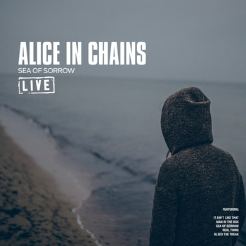 Alice In Chains - Sea of Sorrow (Live)