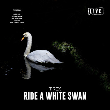 T.Rex - Ride a White Swan (Live)