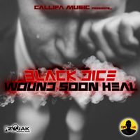 Black Dice - Wound Soon Heal