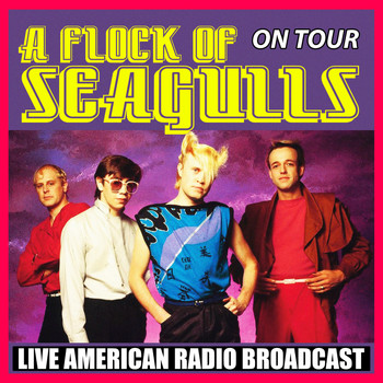 A Flock Of Seagulls - A Flock of Seagulls on Tour (Live)