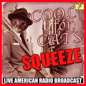 Squeeze - Cool For Cats (Live)