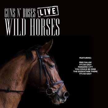 Guns N' Roses - Wild Horses (Live)