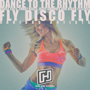 Various Artists - Dance to the Rhythm Fly Disco Fly