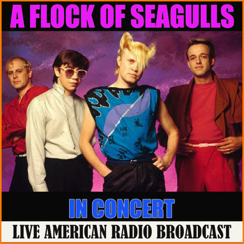 A Flock Of Seagulls - A Flock of Seagulls in Concert (Live)
