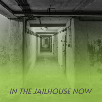 Various Artists - In the Jailhouse Now