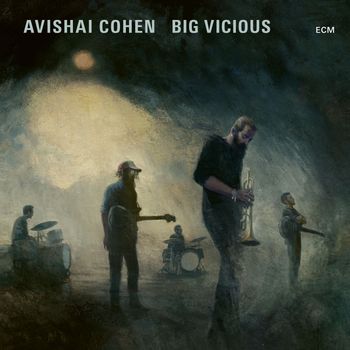 Avishai Cohen - Honey Fountain