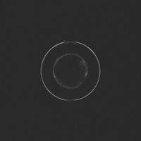 Dizzy Mizz Lizzy - In The Blood (Single Edit)