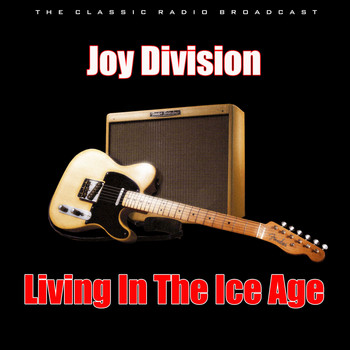 Joy Division - Living In The Ice Age (Live)