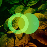 Subgate - Sierra