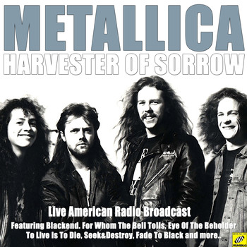 Metallica - Harvester Of Sorrow (Live)