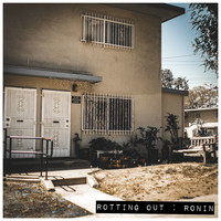 Rotting Out - Ronin (Explicit)