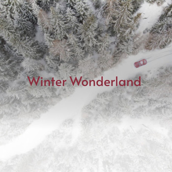 Various Artists - Winter Wonderland