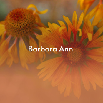 Various Artists - Barbara Ann