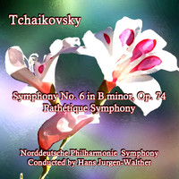 Norddeutsche Philharmonie Symphony - Tchaikovsky Symphony No. 6 in B Minor, Op. 74