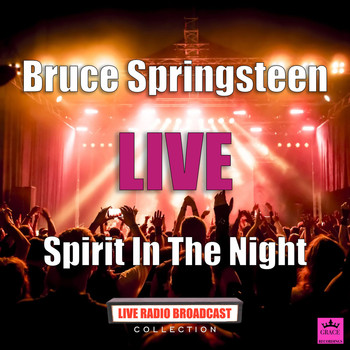 Bruce Springsteen - Spirit In The Night (Live)
