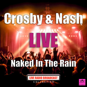 Crosby & Nash - Naked In The Rain (Live)