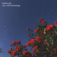 Whiterose - Am I Still Dreaming