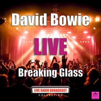 David Bowie - Breaking Glass (Live)