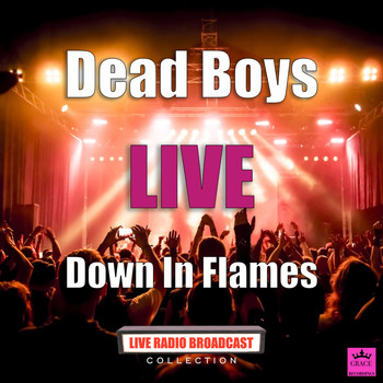 Dead Boys - Down In Flames (Live)
