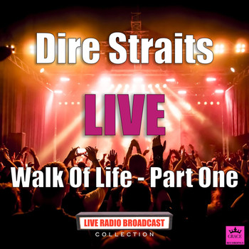 Dire Straits - Walk Of Life - Part One (Live)