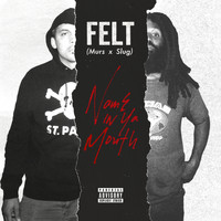 Felt - Name In Ya Mouth (Explicit)