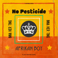 Afrikan Boy - No Pesticide