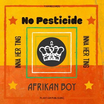 Afrikan Boy - No Pesticide