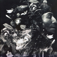 Kingdom - Kingdom