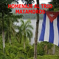 Varios Artistas - Homenaje al Trío Matamoros