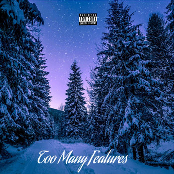 Winter - Too Many Features (Explicit)