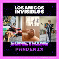 Los Amigos Invisibles - Something (Pandemix)