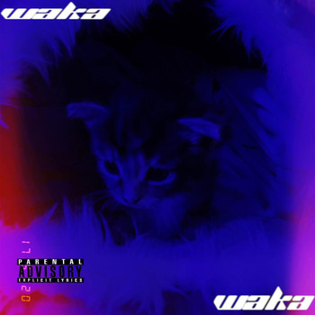The Move - Waka Waka (Explicit)