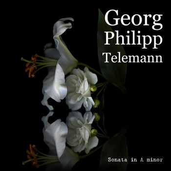 Georg Philipp Telemann - Sonata in A minor