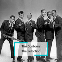 The Contours - The Contours - The Selection